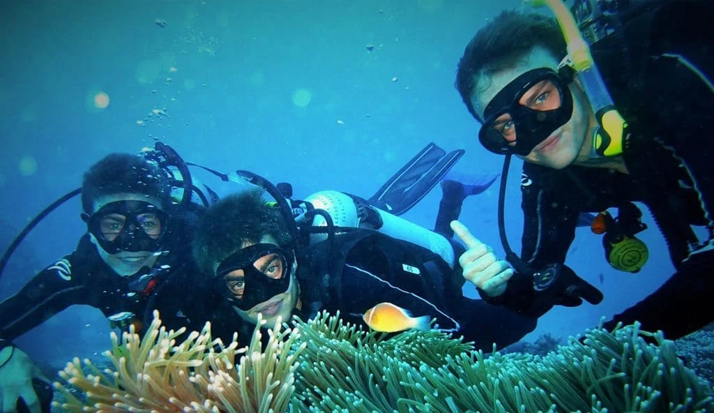 Plongée sous-marine et monitoring sur la Grande Barrière de Corail