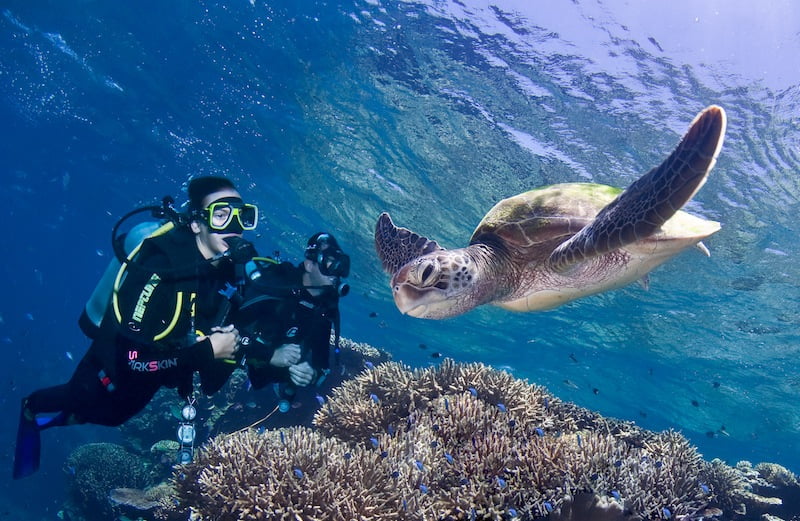 Plongée sous-marine et monitoring sur la Grande Barrière de Corail