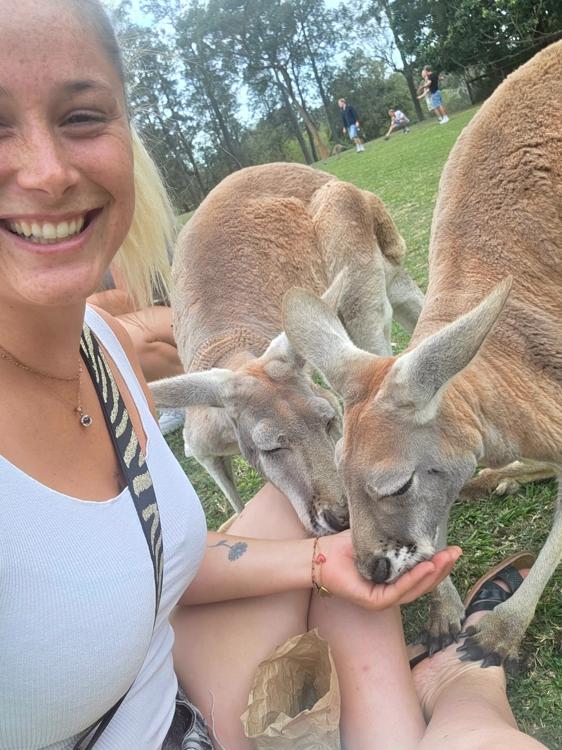 Laura verblijft met een werkvisum in Brisbane