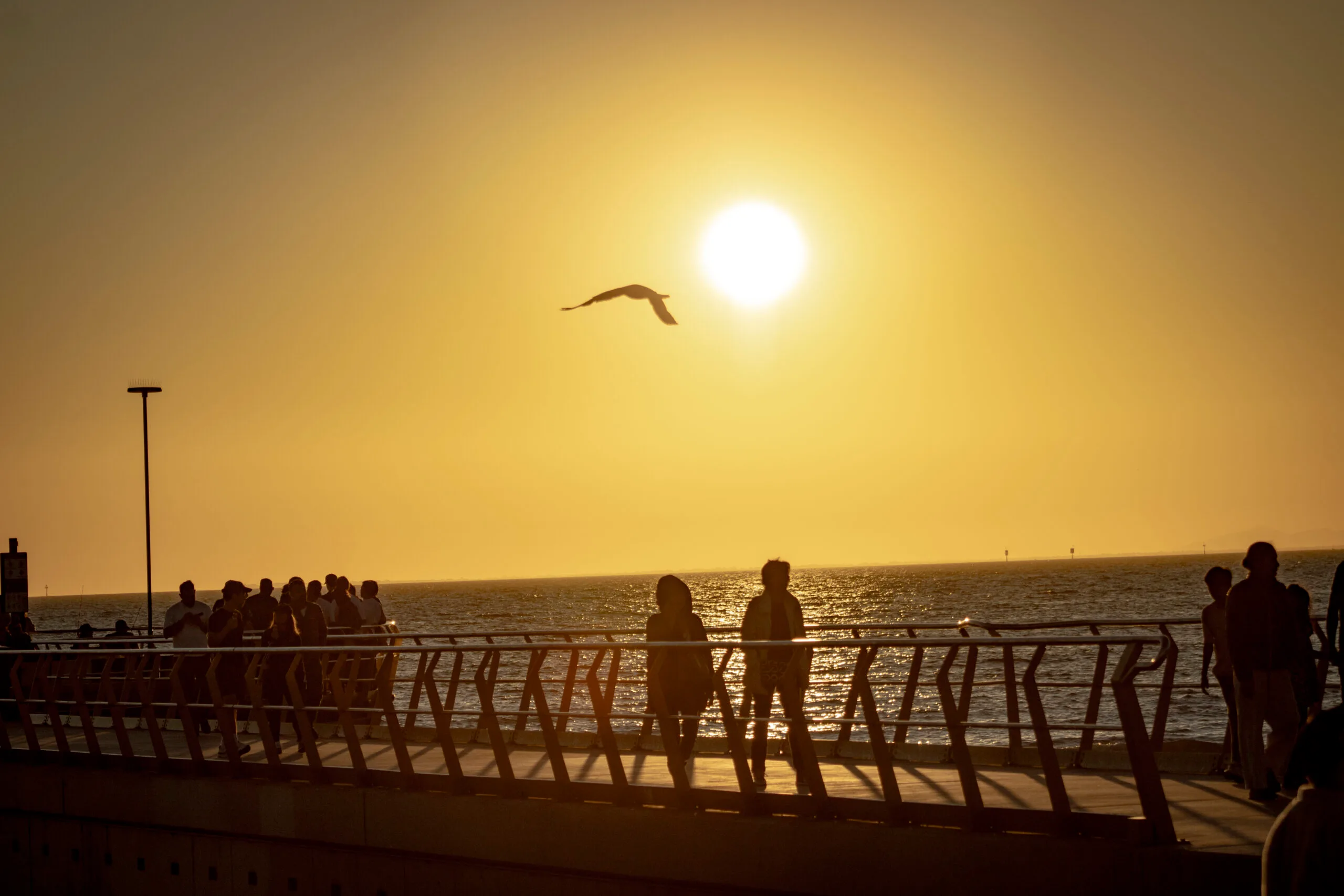 Aathan in PVT Melbourne + Cursussen