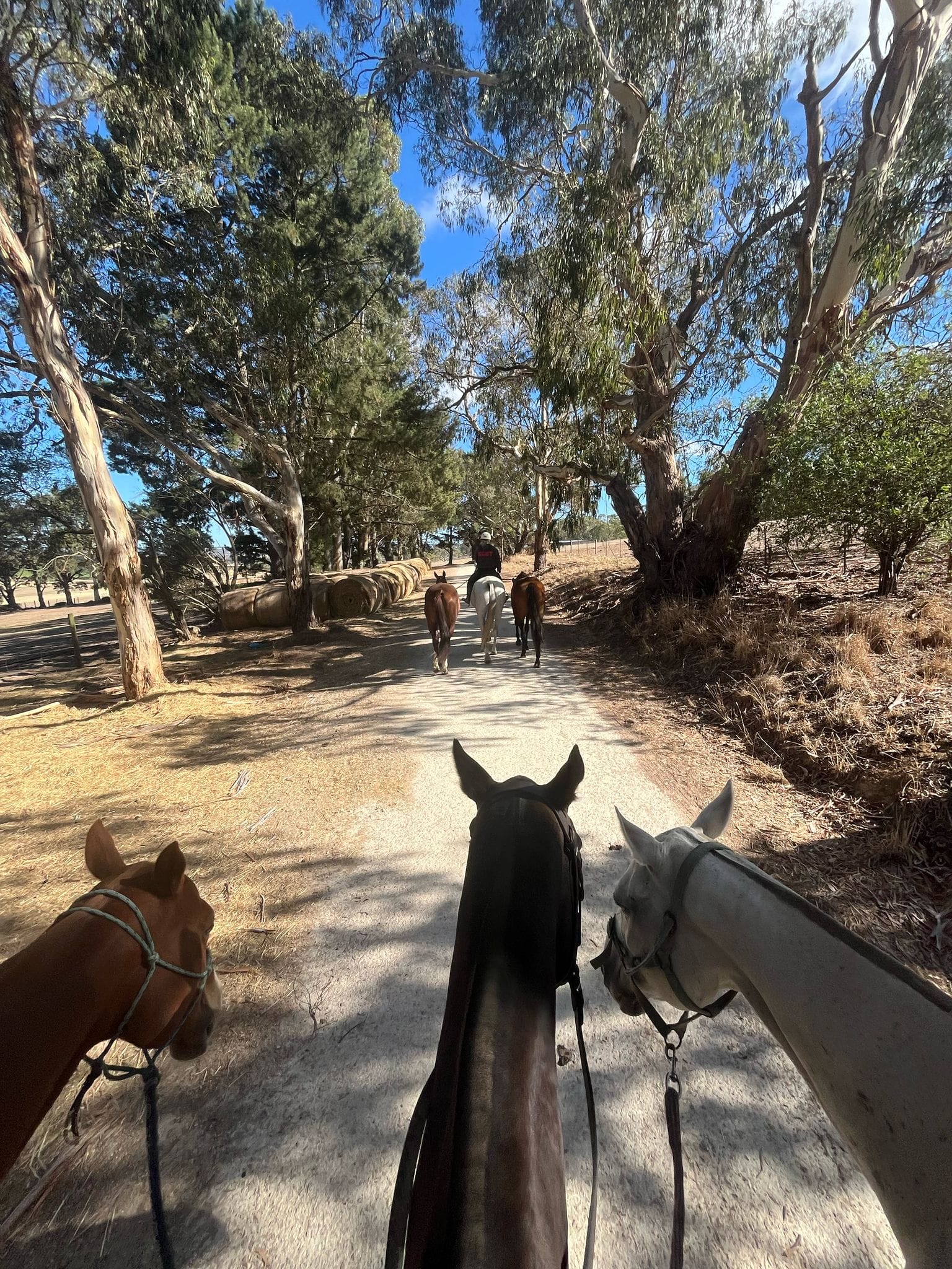 Jeanne en PVT Brisbane - Ranch