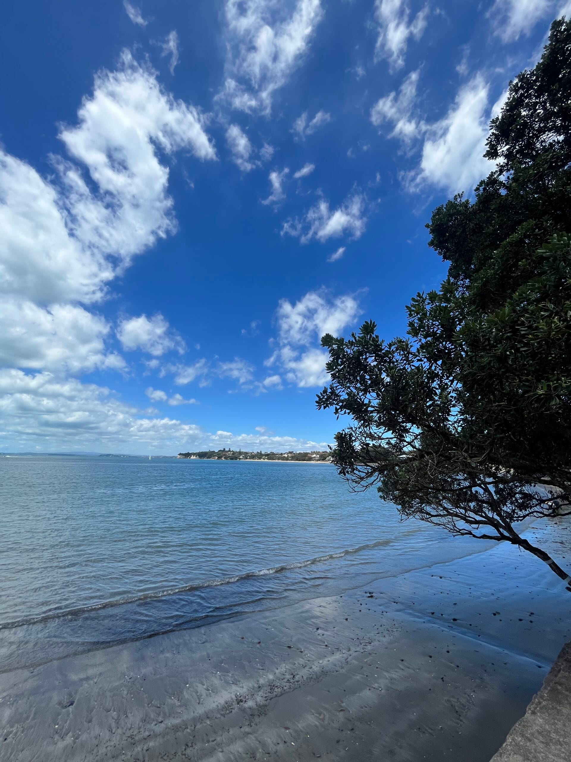 Heloise et Tristan en PVT Nouvelle-Zélande - Pack friends