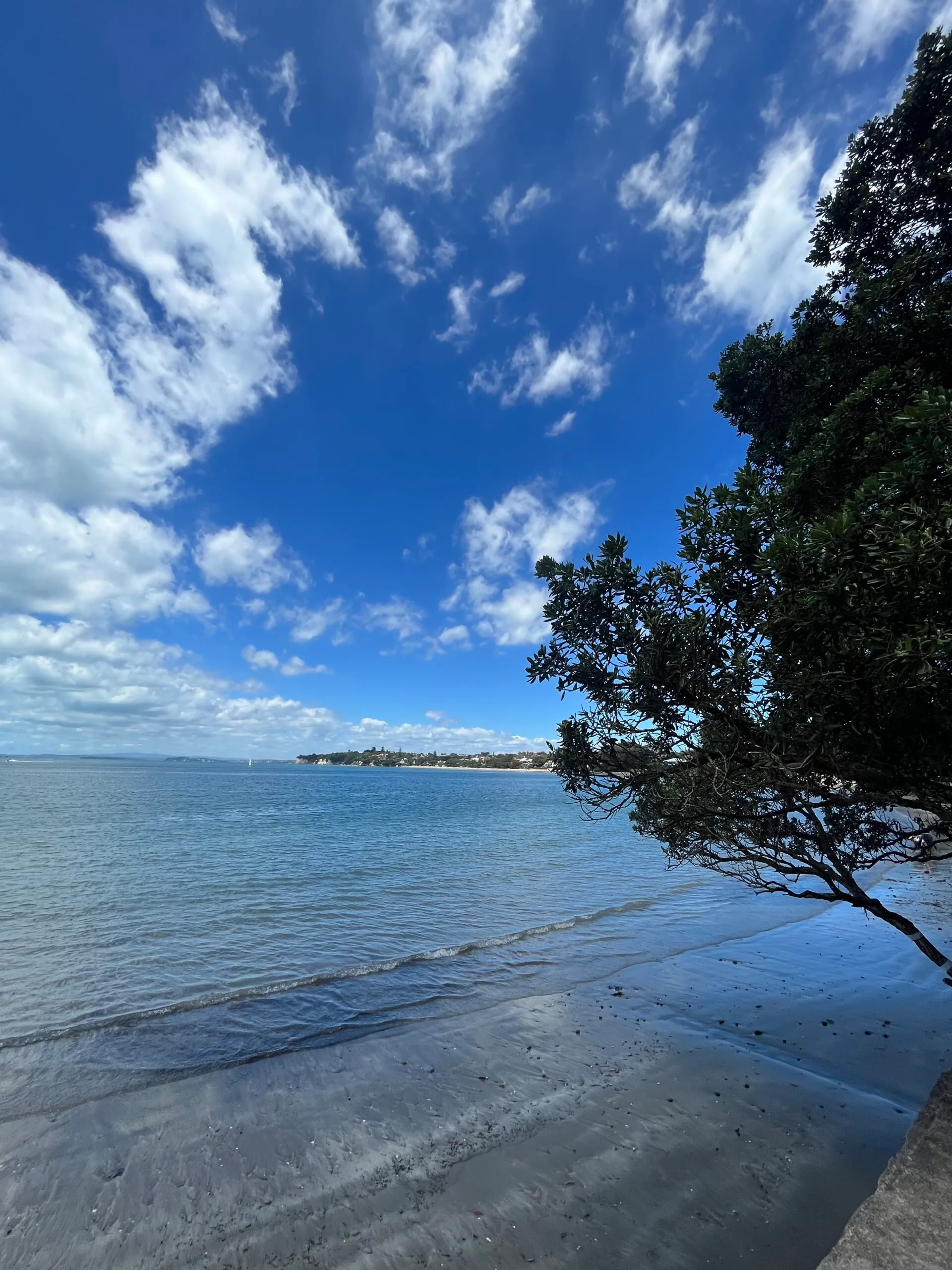 Heloise en Tristan op een werkvisum in Nieuw-Zeeland - Vriendenpakket