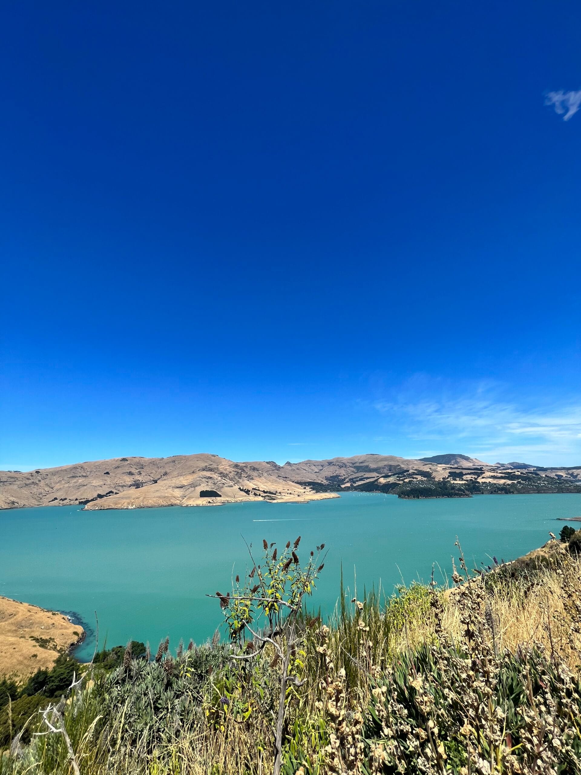 Heloise et Tristan en PVT Nouvelle-Zélande - Pack friends