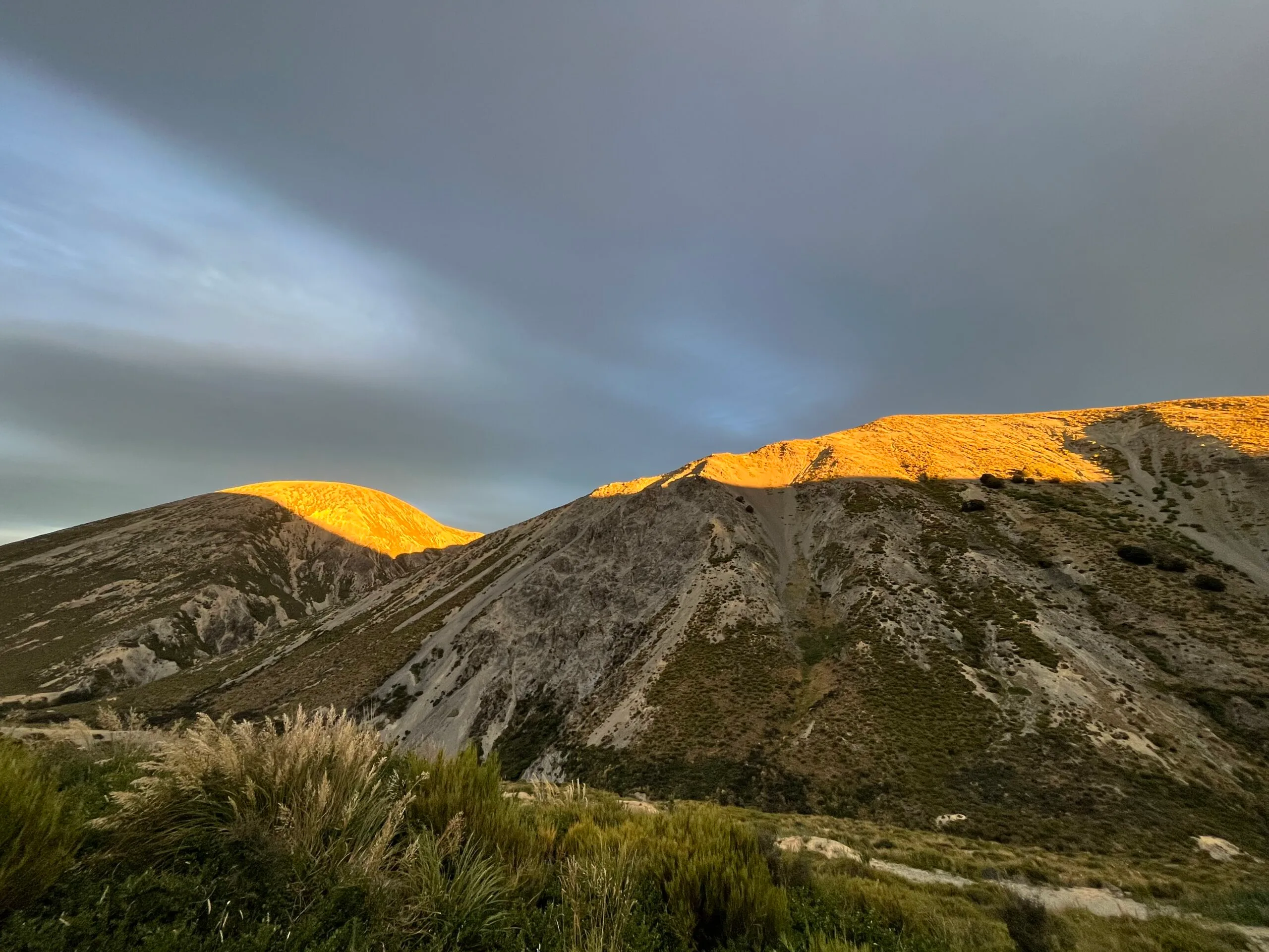 Heloise en Tristan op een werkvisum in Nieuw-Zeeland - Vriendenpakket