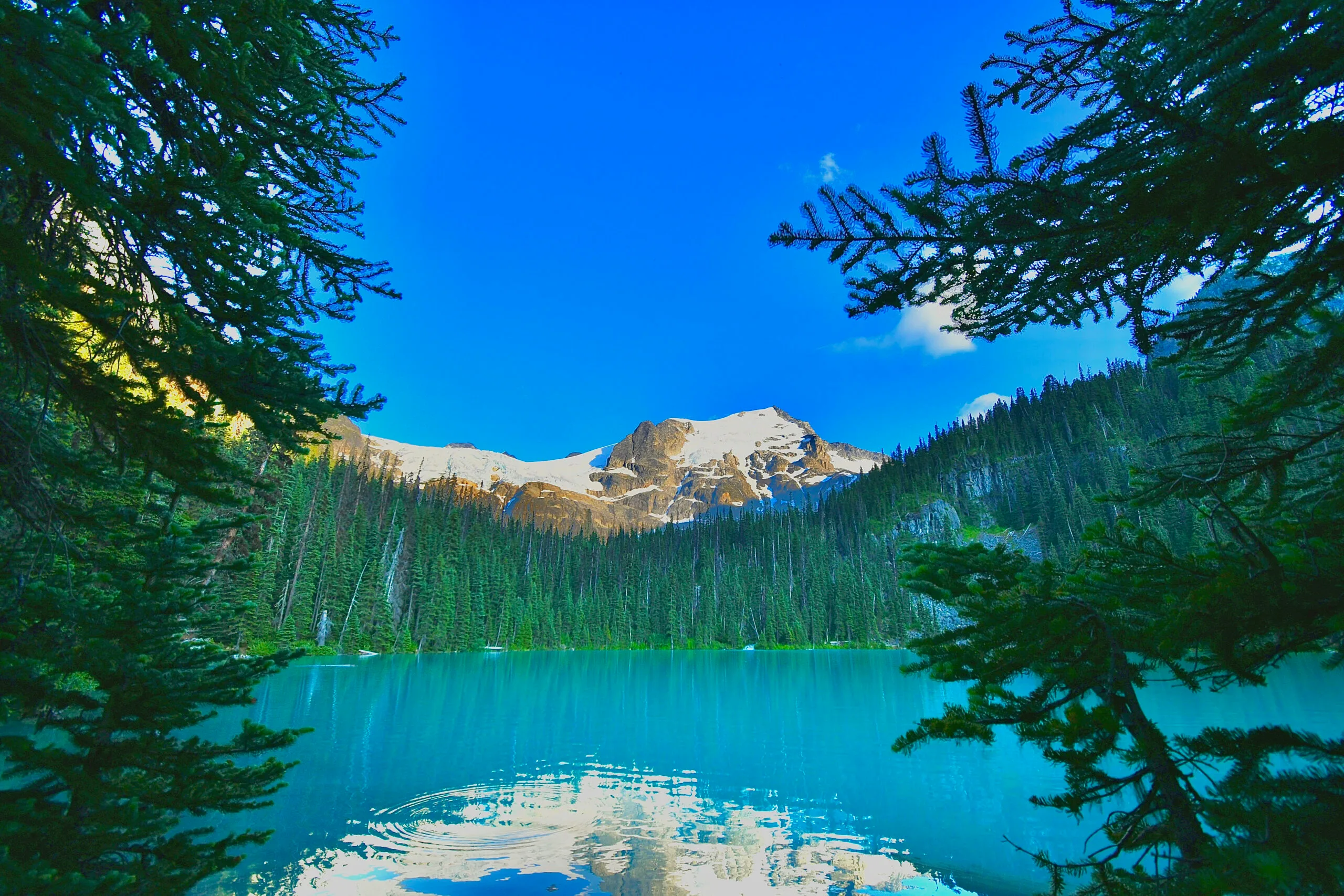 Je verblijft met een werkvisum in Canada