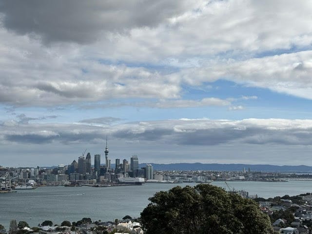 Liam en PVT Nouvelle-Zélande activités+cours à Auckland