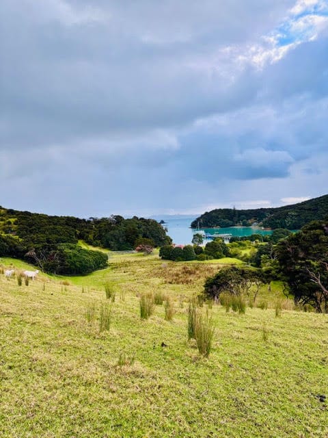 Liam en PVT Nouvelle-Zélande activités+cours à Auckland
