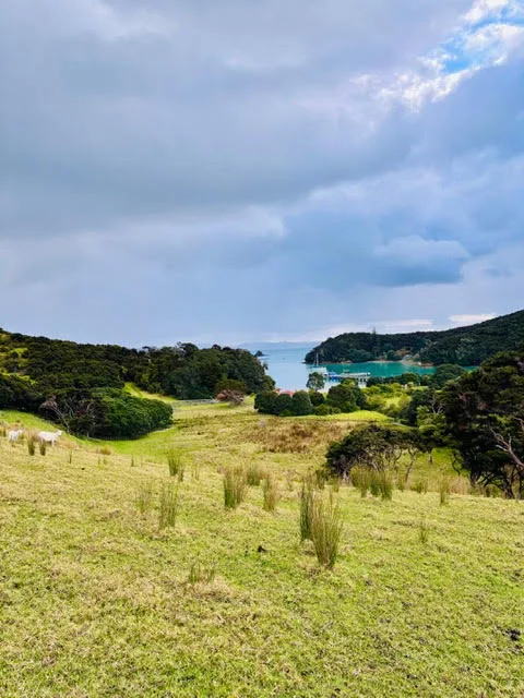 Liam op een Working Holiday Visa in Nieuw-Zeeland: activiteiten en cursussen in Auckland